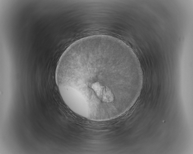 X0000116890962200912221001
