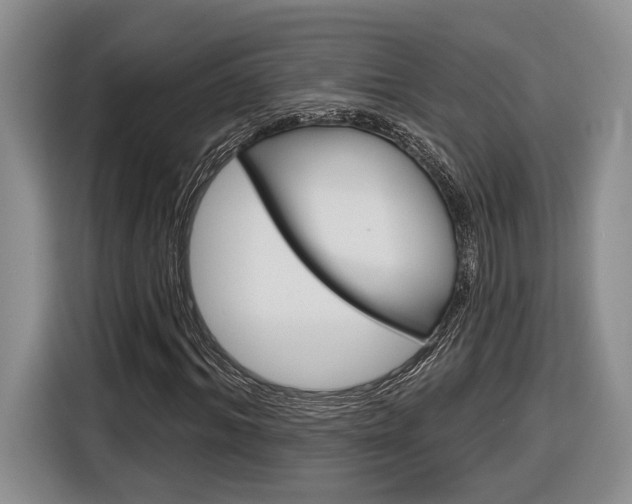 X0000116890964200912221001