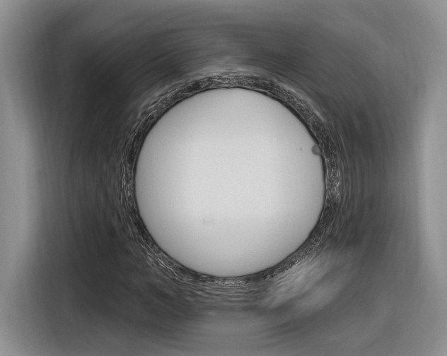 X0000116890966200912221001