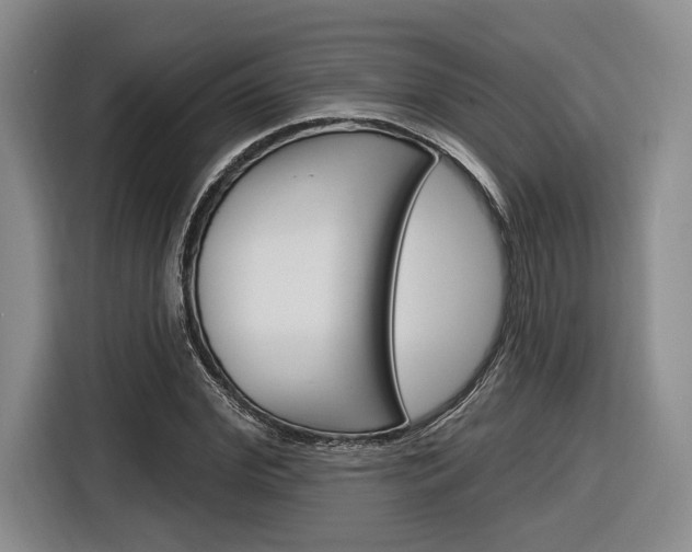 X0000116890972200912221001