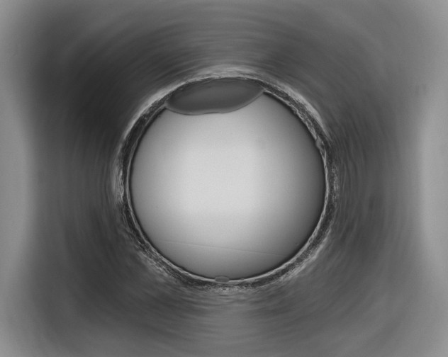 X0000116890973200912221001