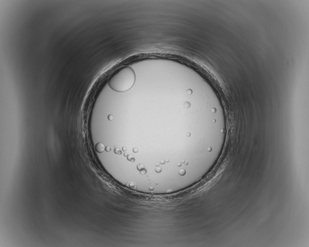 X0000116890974200912221001