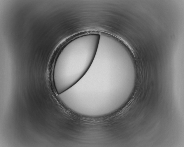X0000116890975200912221001