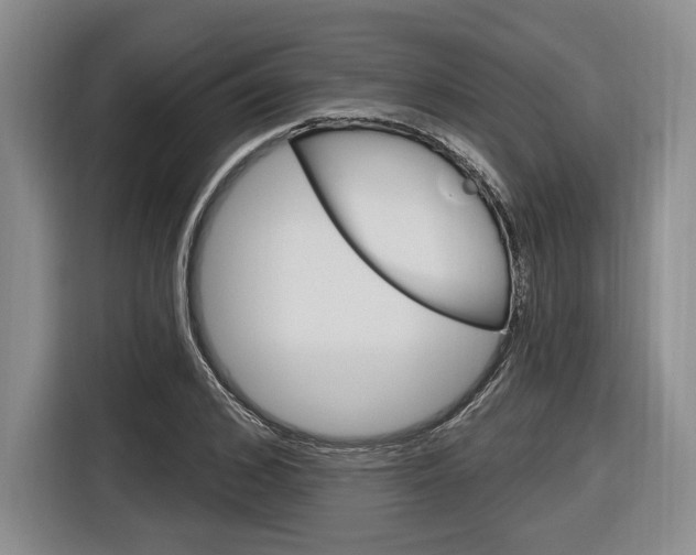 X0000116890976200912221001