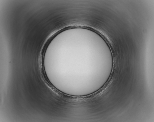 X0000116890982200912221001