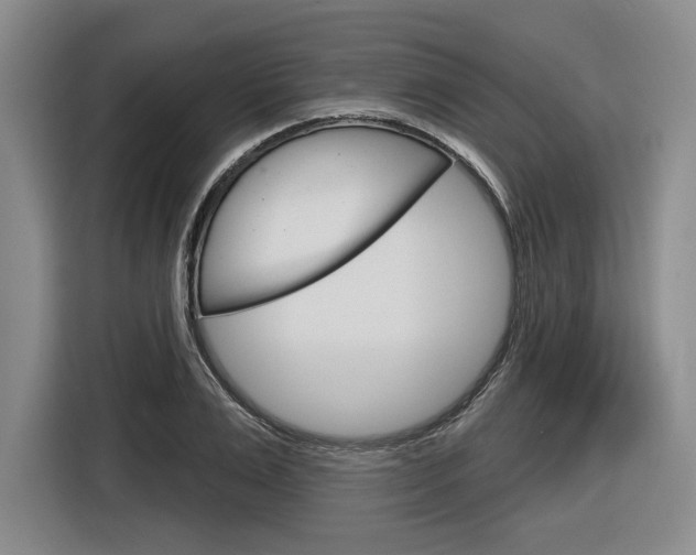 X0000116890983200912221001