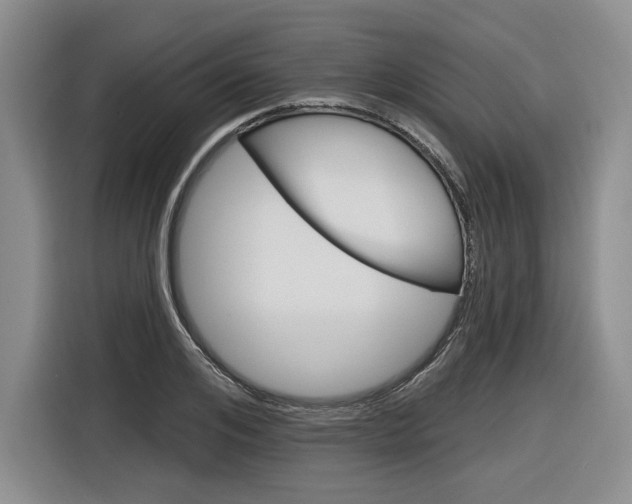 X0000116890984200912221001