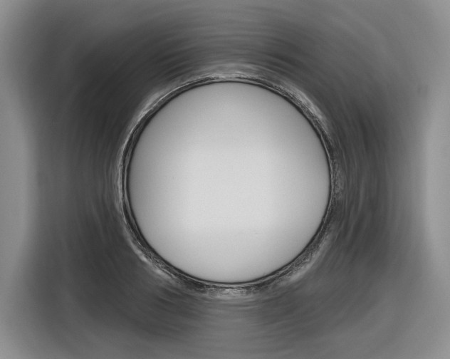 X0000116890986200912221001