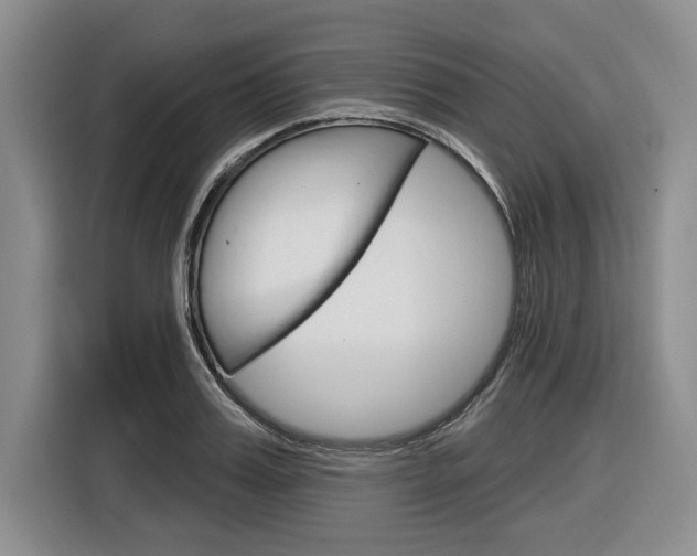 X0000116890987200912221001