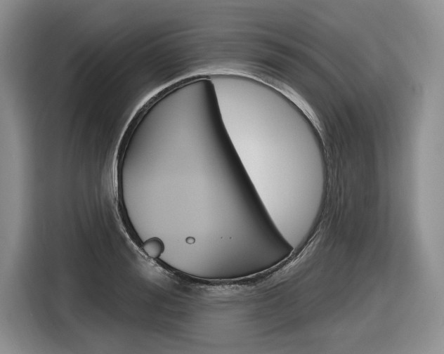 X0000116890988200912221001
