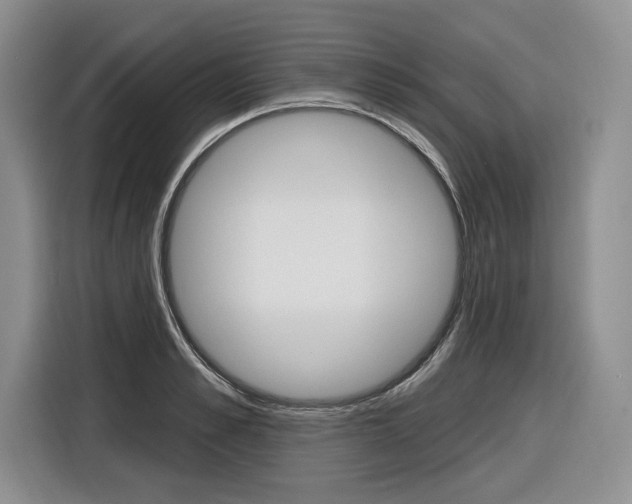 X0000116890989200912221001