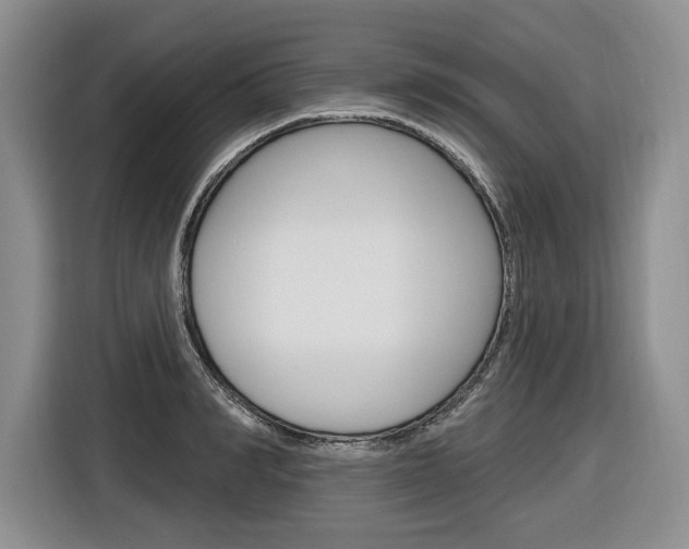 X0000116890990200912221001