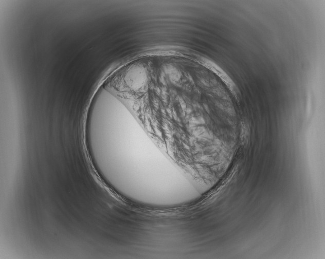 X0000116890994200912221001