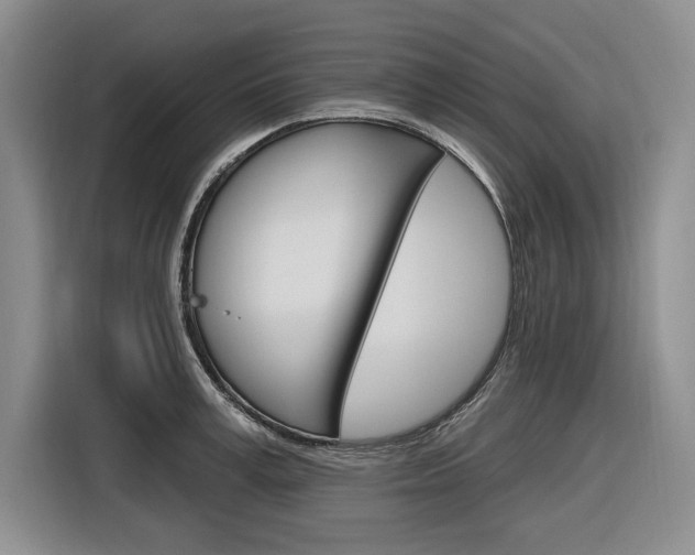 X0000116890995200912221001