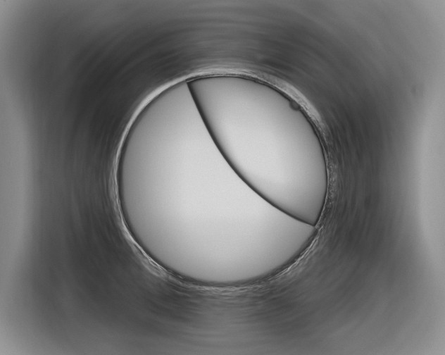 X0000116890996200912221000
