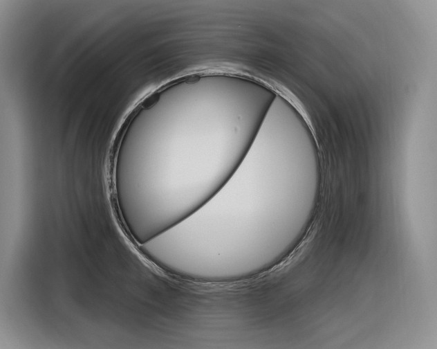 X0000116890997200912221000