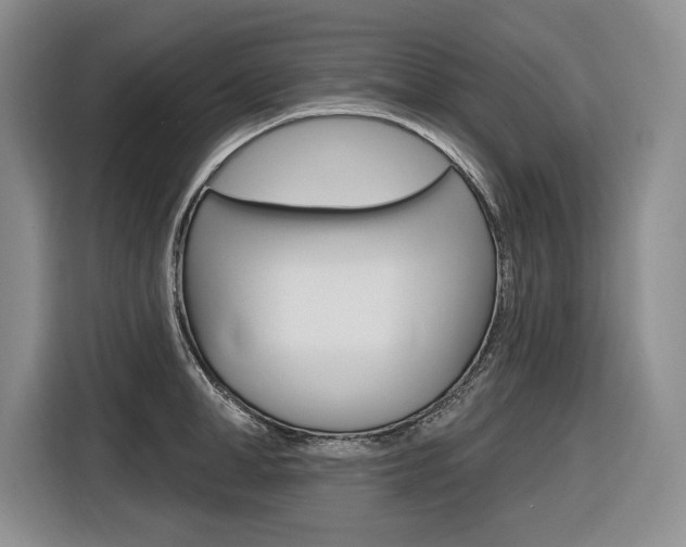 X0000116890998200912221000