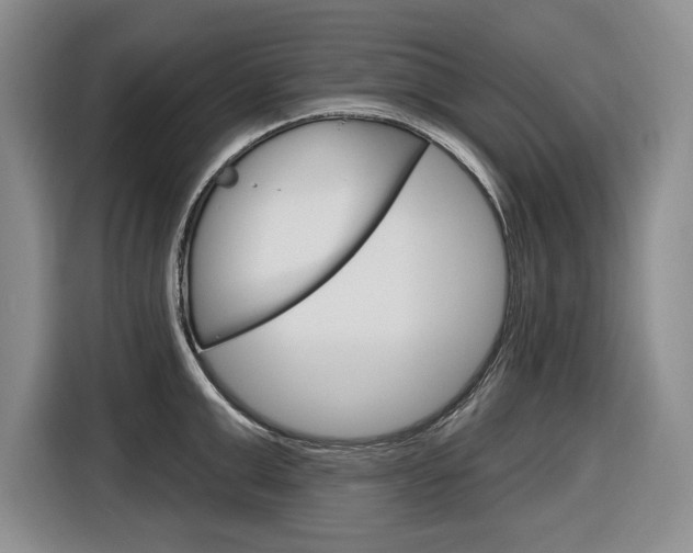 X0000116890999200912221000