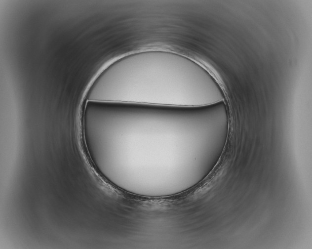 X0000116891000200912221000