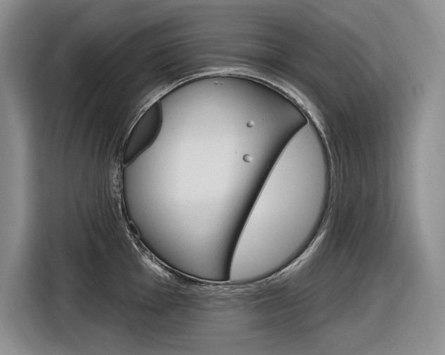 X0000116891001200912221000