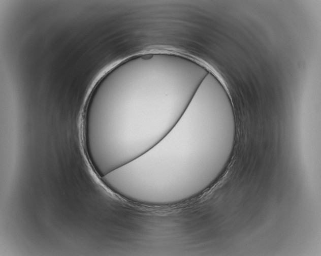 X0000116891003200912221000