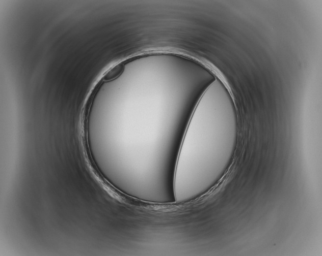 X0000116891005200912221000