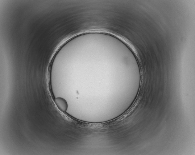 X0000116891006200912221000