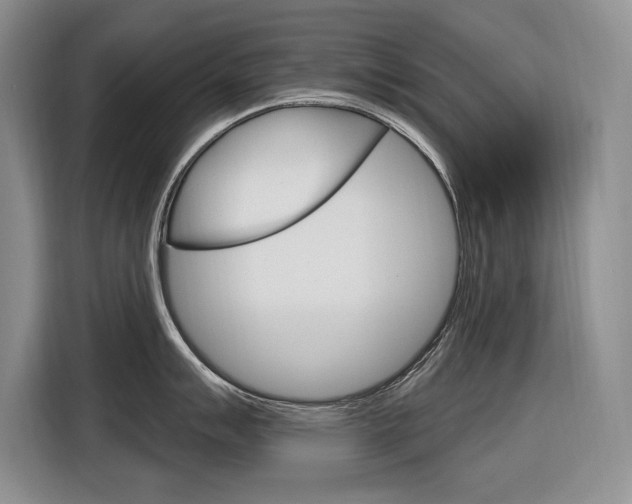 X0000116891007200912221000
