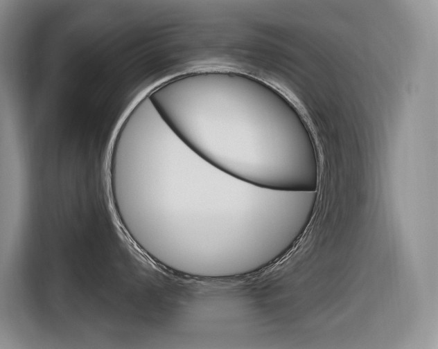 X0000116891008200912221000