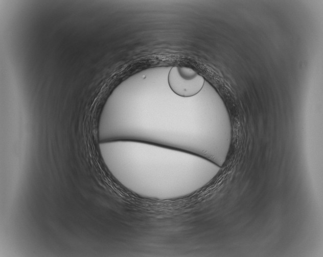 X0000116891009200912221000