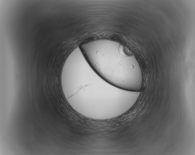 X0000116891010200912221000
