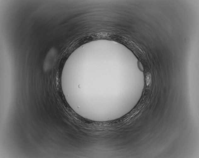 X0000116891011200912221000