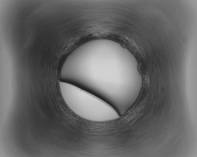 X0000116891012200912221000