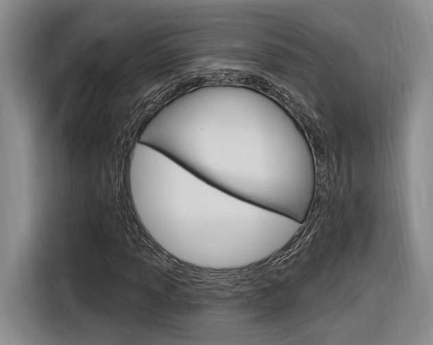 X0000116891013200912221000
