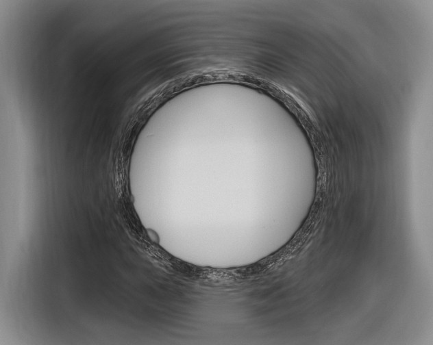 X0000116891015200912221000