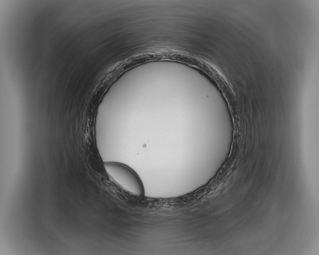 X0000116891016200912221000