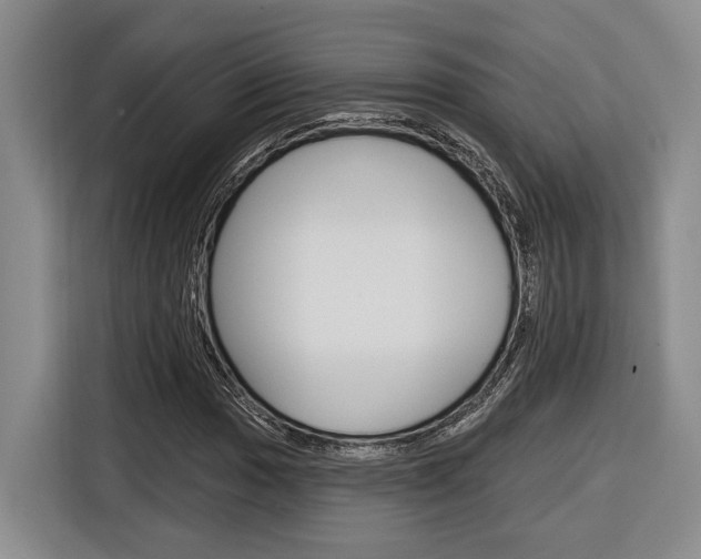 X0000116891017200912221000