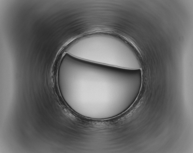 X0000116891018200912221000