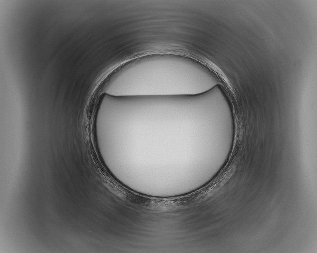 X0000116891019200912221000