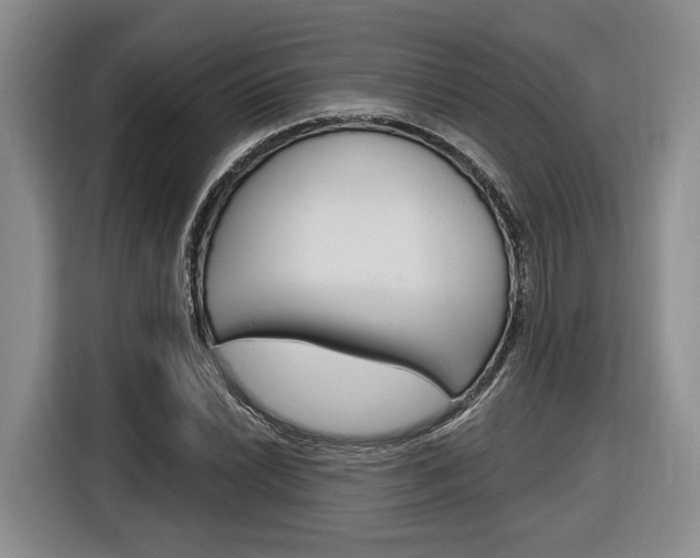 X0000116891022200912221000