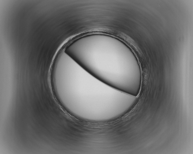 X0000116891024200912221000