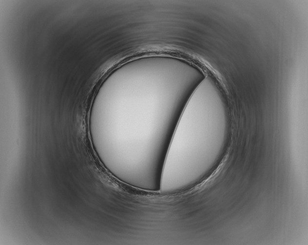X0000116891025200912221000