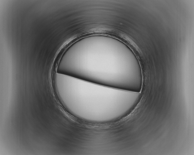 X0000116891026200912221000