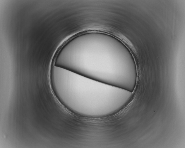X0000116891028200912221000