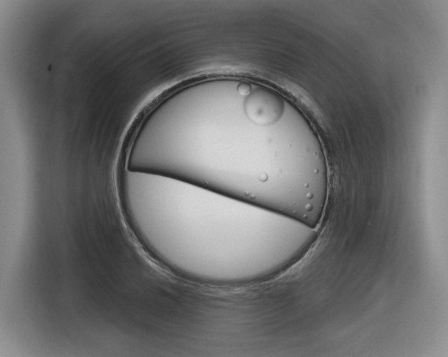 X0000116891030200912221000