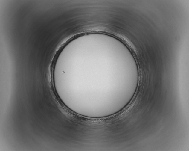 X0000116891031200912221000
