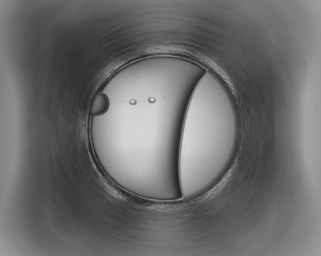 X0000116891033200912221000