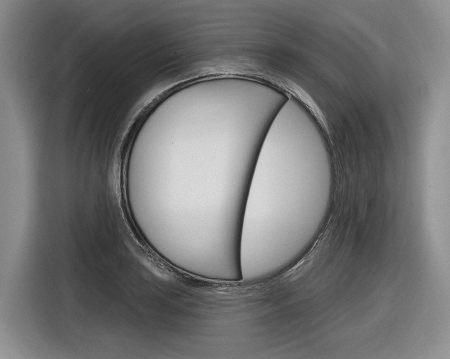X0000116891035200912221000