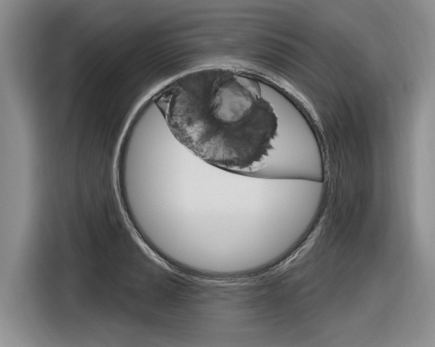 X0000116891037200912221000