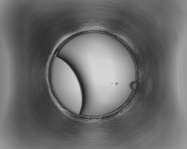 X0000116891038200912221000